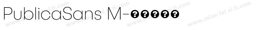 PublicaSans M字体转换
